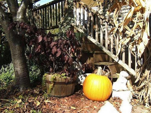 Boyden House Inn B&B غراند هيفن المظهر الخارجي الصورة